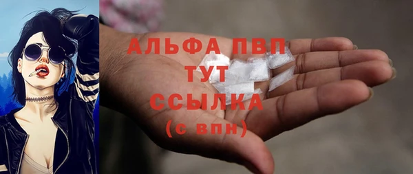 индика Арсеньев