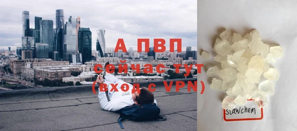 ГАЛЛЮЦИНОГЕННЫЕ ГРИБЫ Пестово