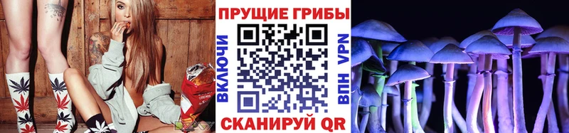 Галлюциногенные грибы Psilocybine cubensis  ОМГ ОМГ зеркало  Татарск 